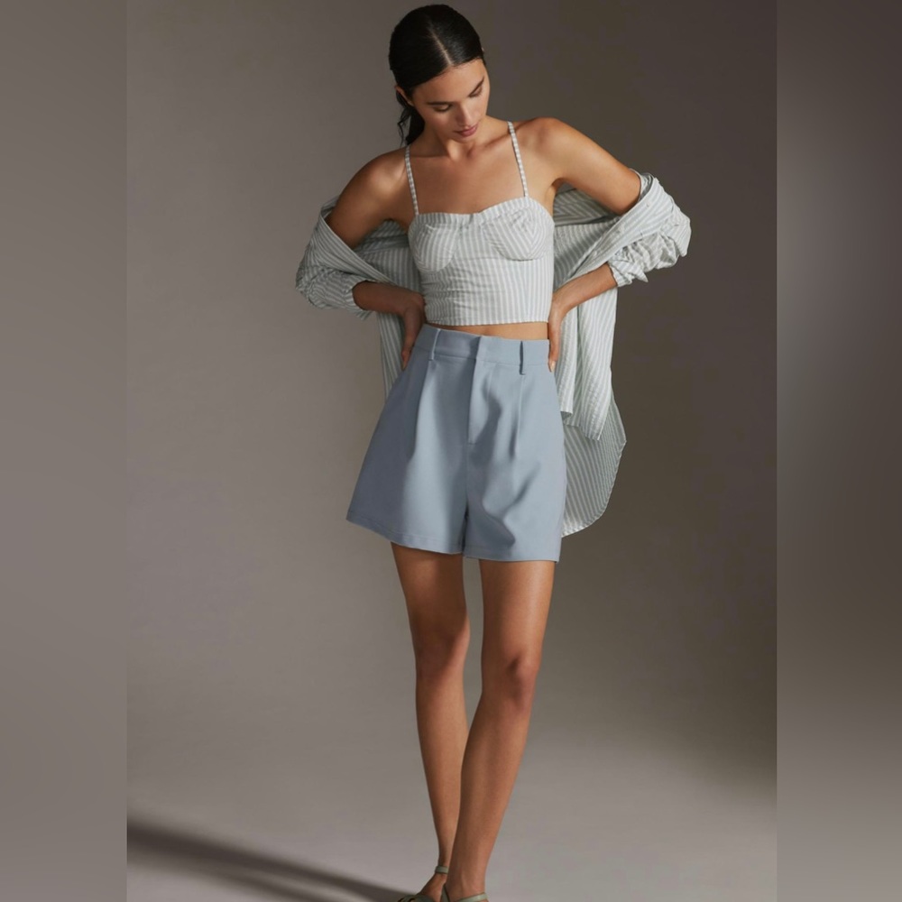 Anthropologie Bustier Top